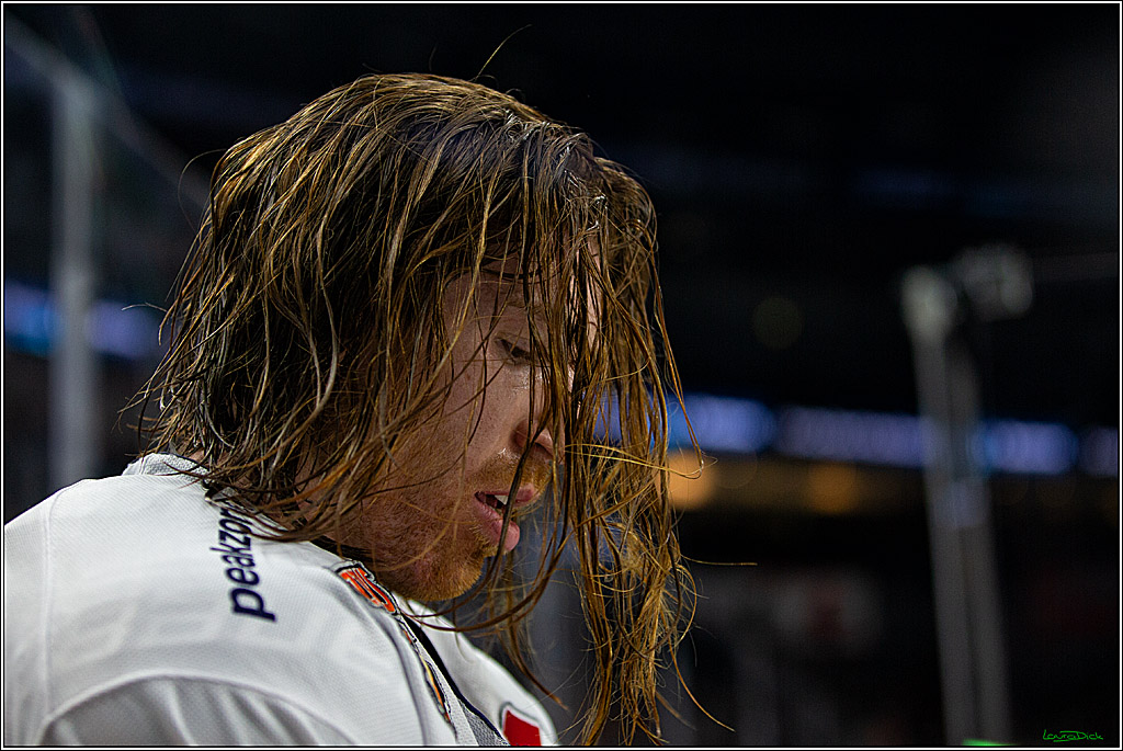 PENNY DEL; Koelner Haie- Grizzly Wolfsburg; Koeln, 26.10.2022